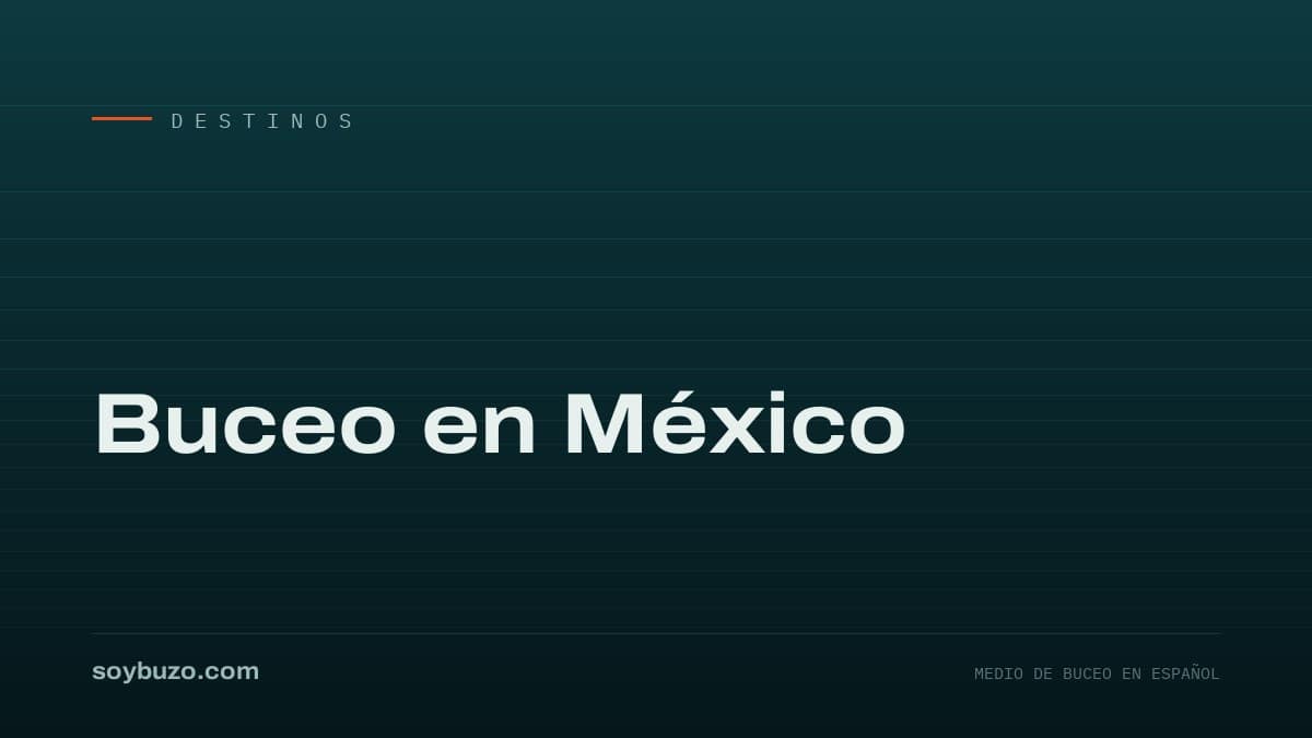 Portada de soybuzo.com con el título «Buceo en México»