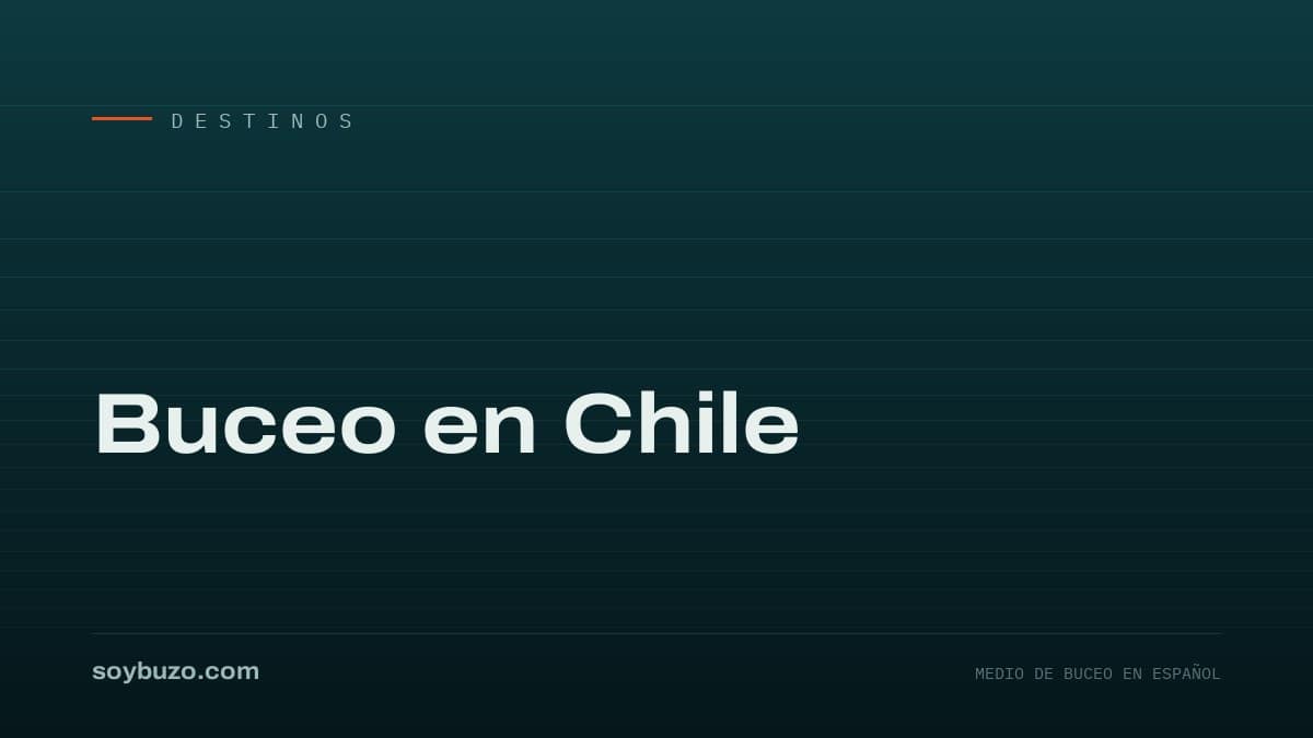 Portada de soybuzo.com con el título «Buceo en Chile»