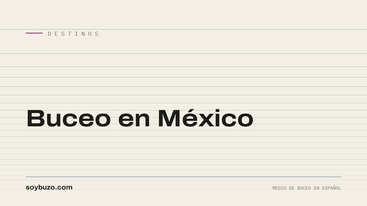 Portada de soybuzo.com con el título «Buceo en México»
