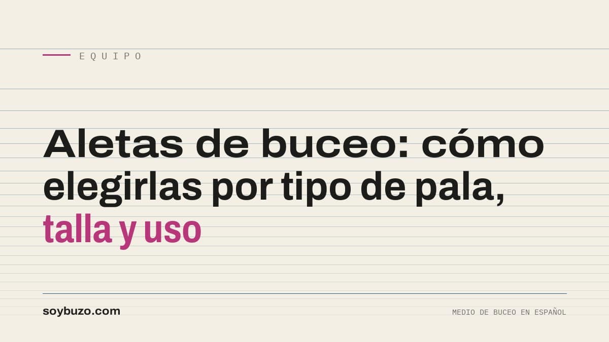 Varias aletas de buceo de distintos tipos de pala apoyadas en el borde de una embarcación