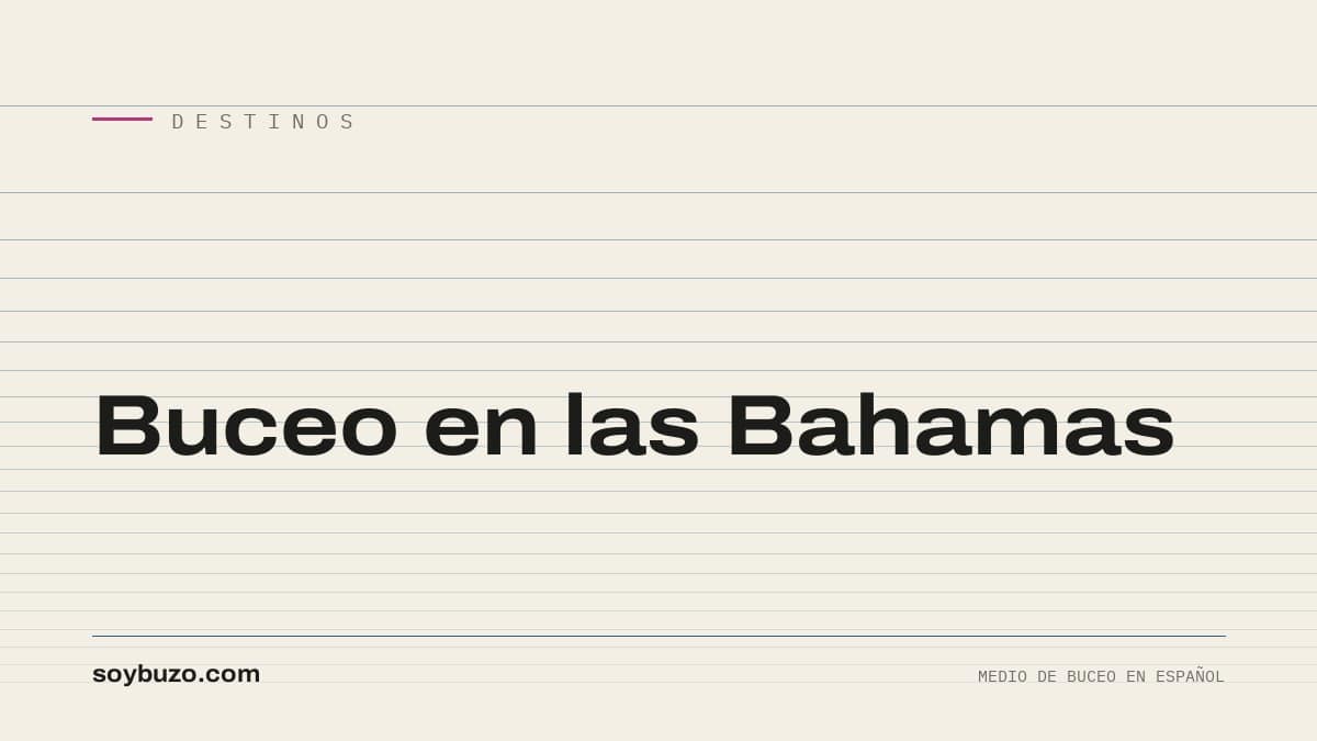 Portada de soybuzo.com con el título «Buceo en las Bahamas»