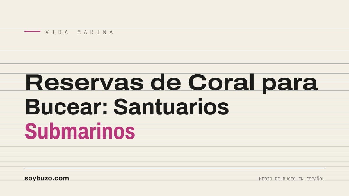 Portada de soybuzo.com con el título «Reservas de Coral para Bucear: Santuarios Submarinos»
