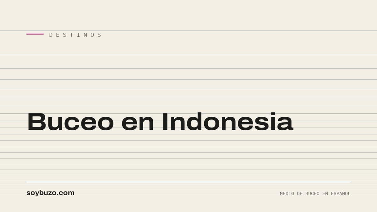 Portada de soybuzo.com con el título «Buceo en Indonesia»