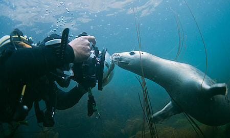 Buceo en Escocia