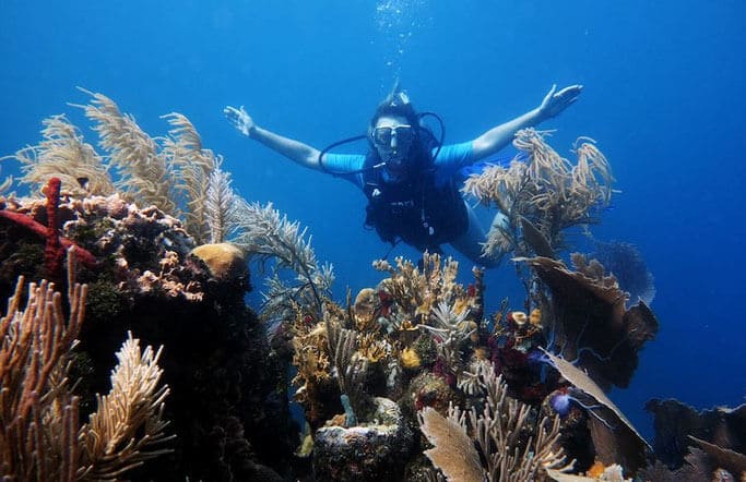 Buceo en Honduras