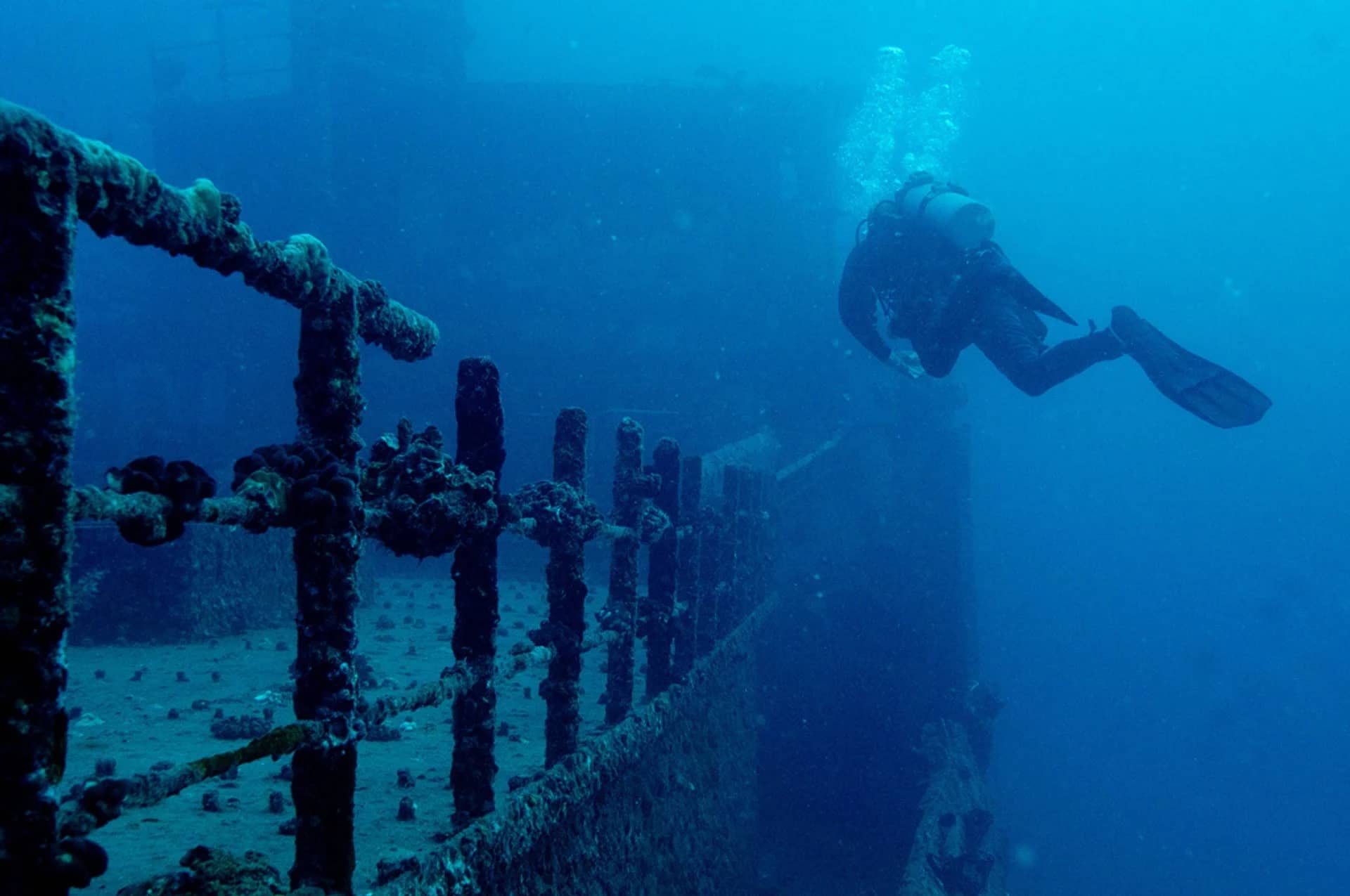 Destino de buceo: Hawái