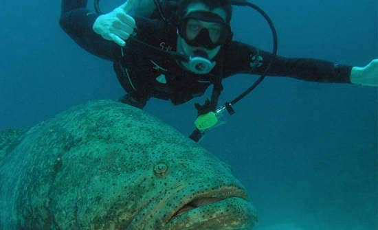 Buceo en Costa Rica