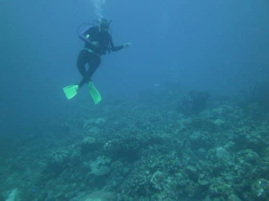 Buceo en Colombia