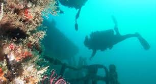 Buceo en los Estados Unidos