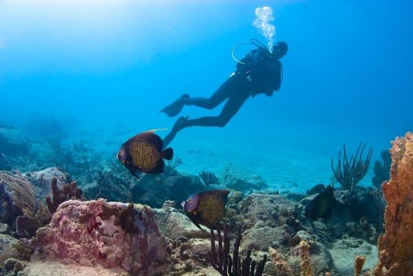 Buceo en Ecuador