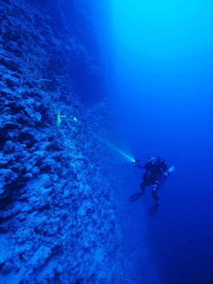 Andros para bucear en las Bahamas, Sobre el muro