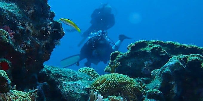 Buceo en Costa Rica