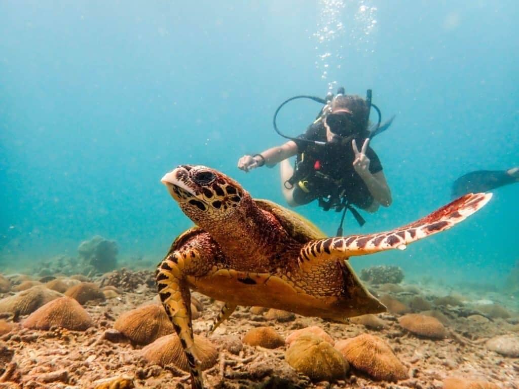 Buceo en twiga, Kenia