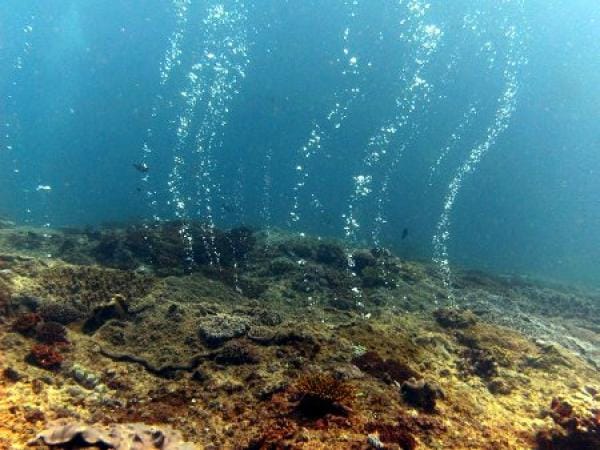 Peponi Divers Mombasa