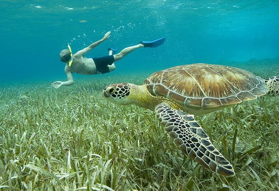 Buceo en Belice