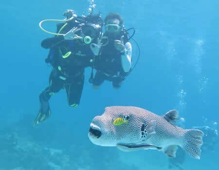 Buceo en Indonesia