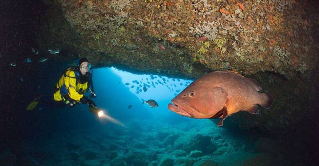 Meros gigantes en Islas Medas, Girona