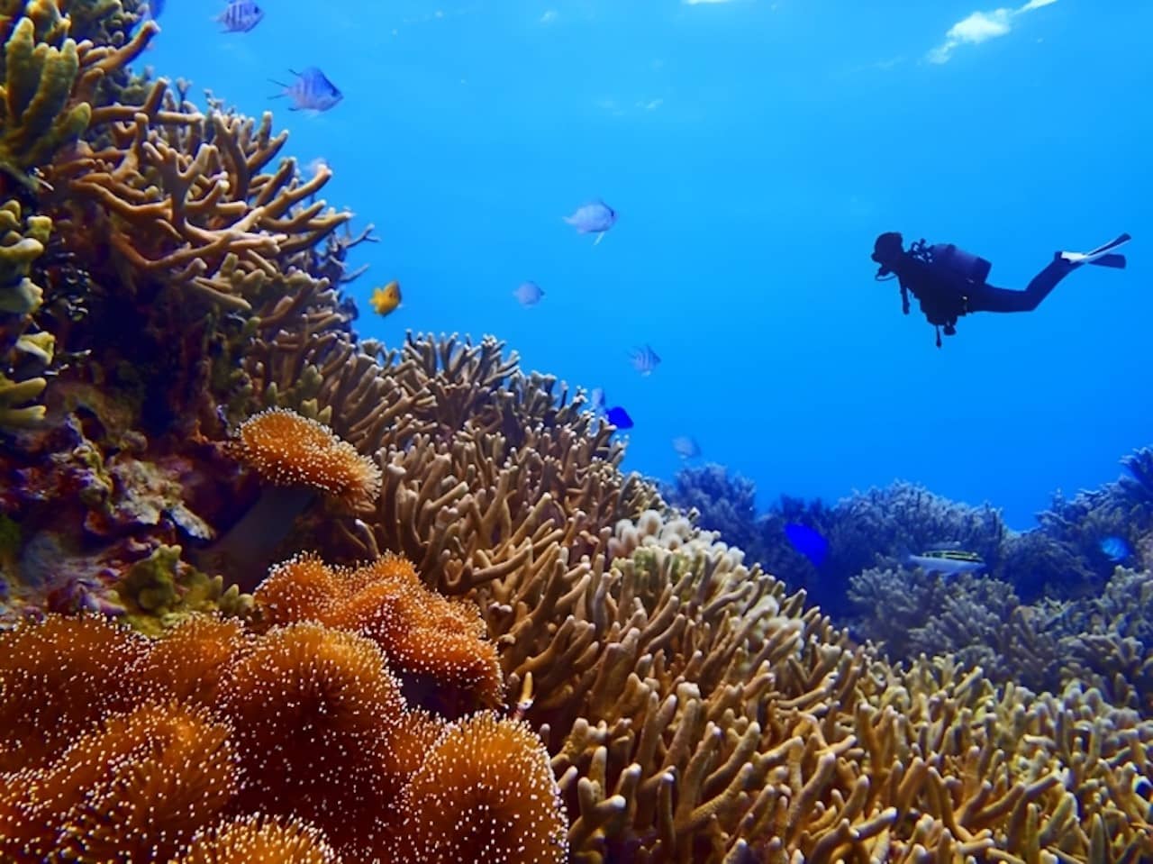 islas Miyako de Okinawa