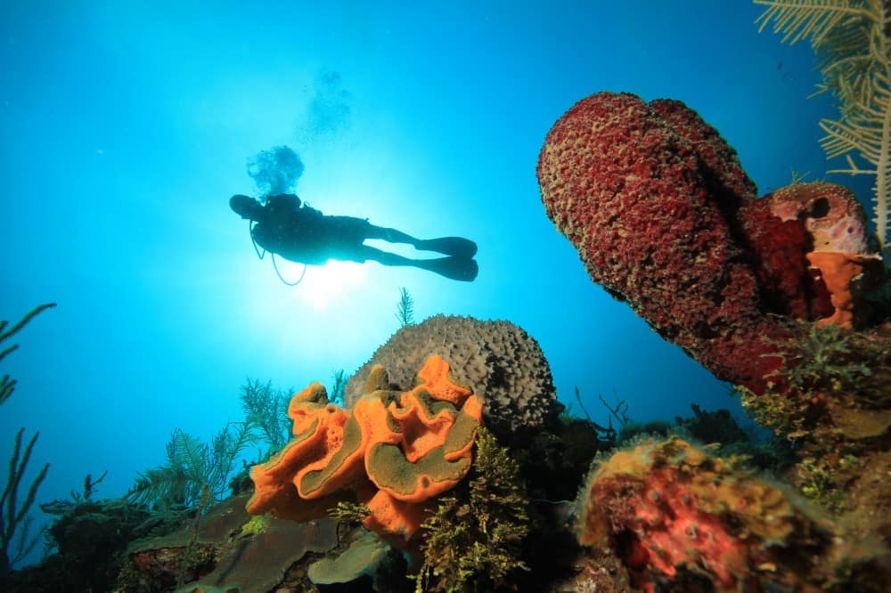 buceo en Cuba