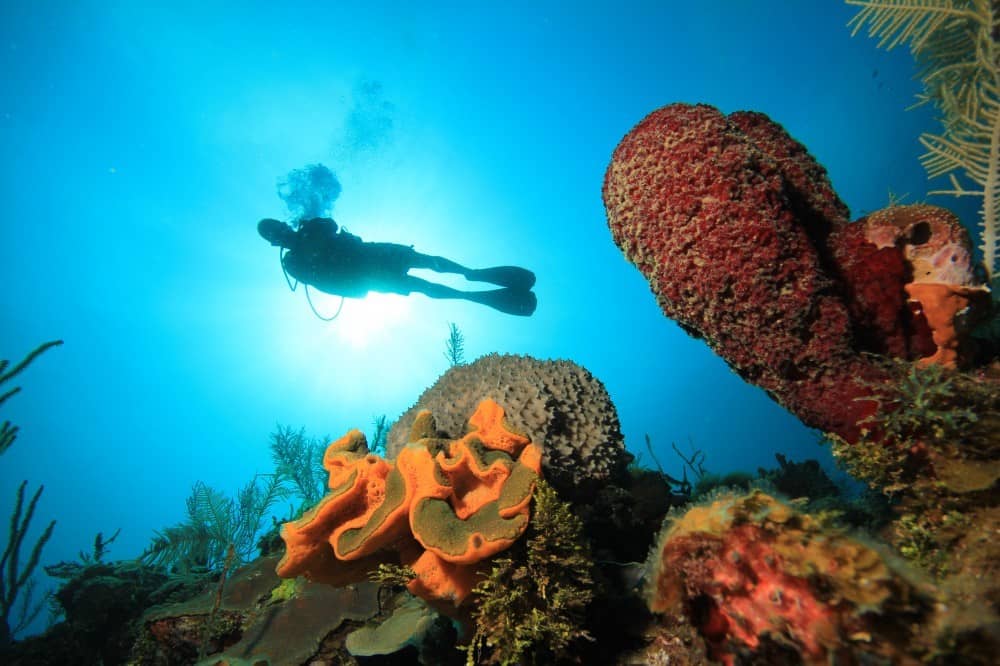 buceo en Cuba