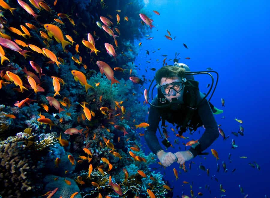 buceo en corales en Africa