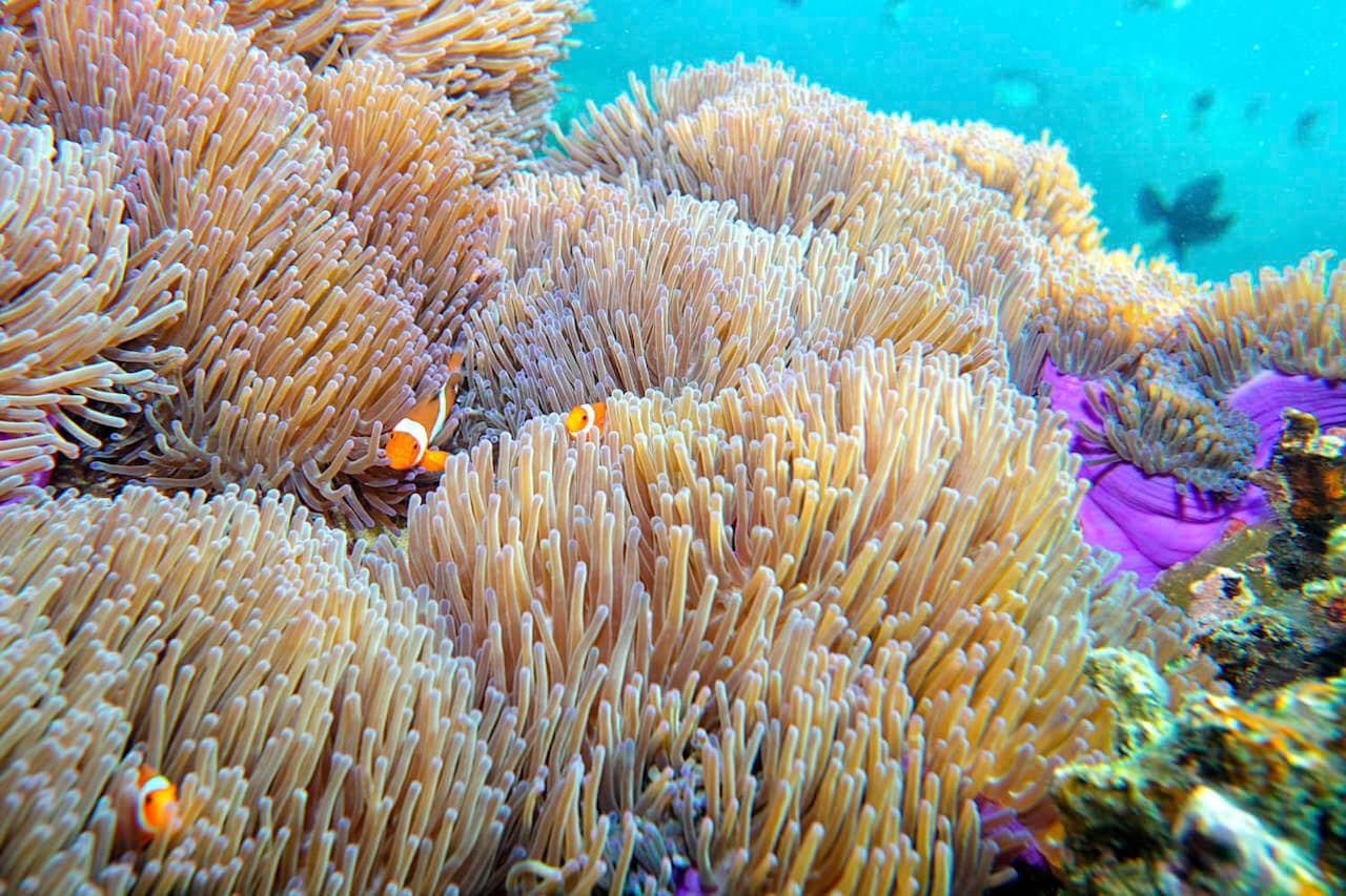 Isla de tioman