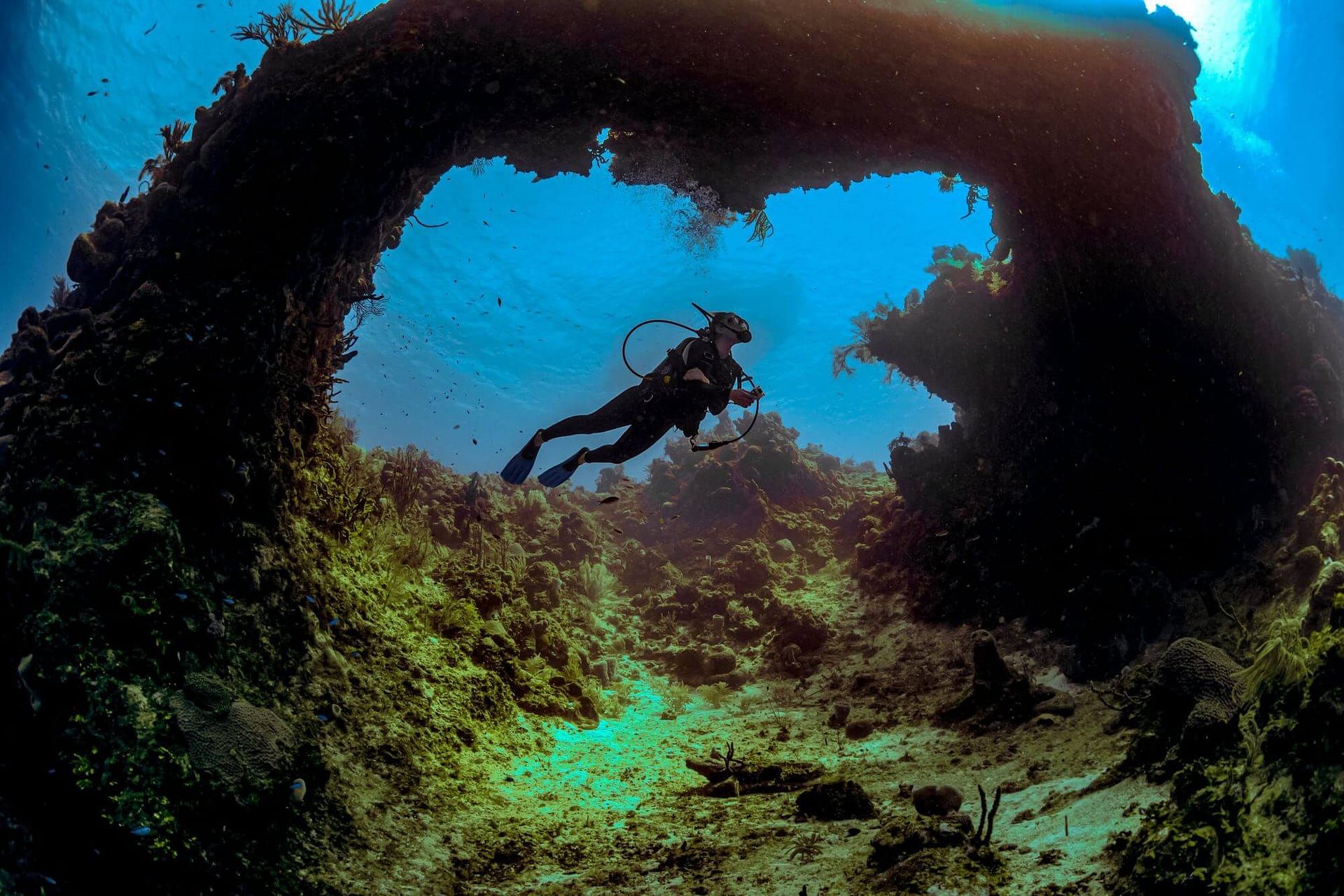 The Arches Bucear en Jamaica