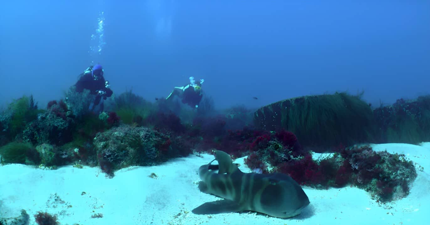 Isla de Hatsushima en la Península de Izu