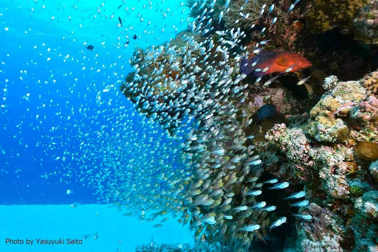 Islas Kerama, Okinawa, Japón