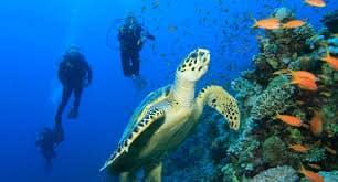 Buceo en Colombia