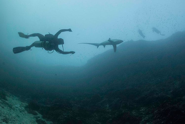 Buceo en Filipinas, Monad Shoal - Malapascua