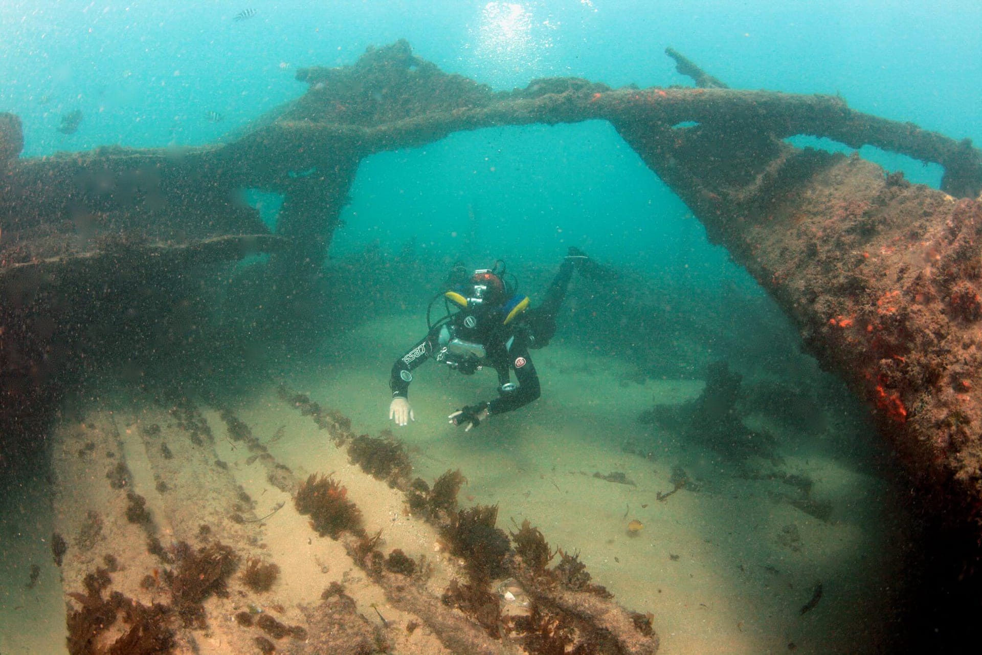 Globe Star Wreck, Mombasa Kenia