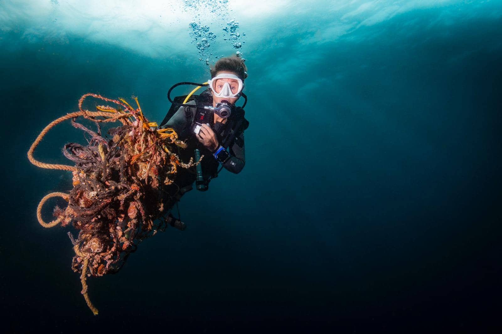 Jay's Pro Dive Centre realiza limpieza del Océano constantemente