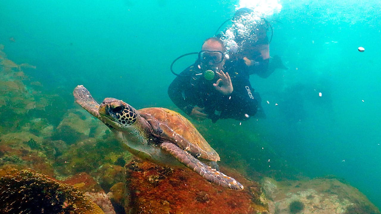 Todo sobre el buceo en Buzios