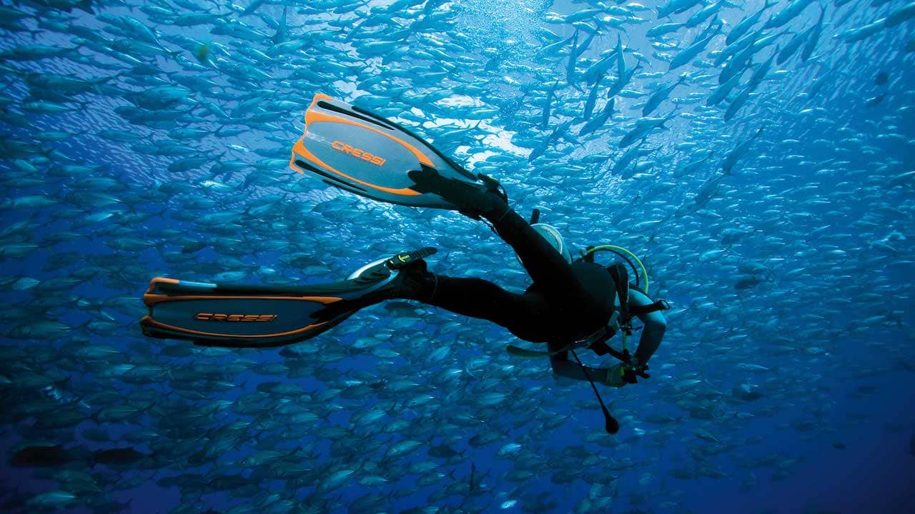 Mantenimiento de las Aletas de Buceo