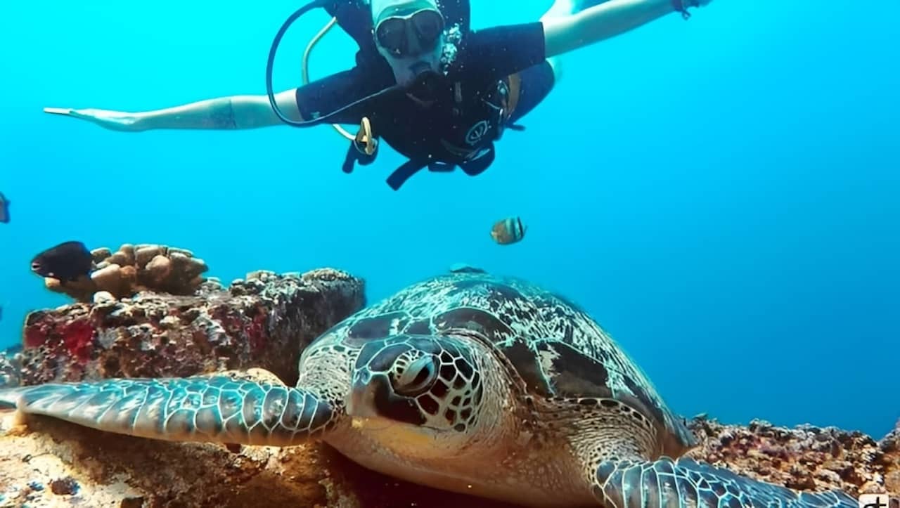 bucear en islas Aguni de Okinawa