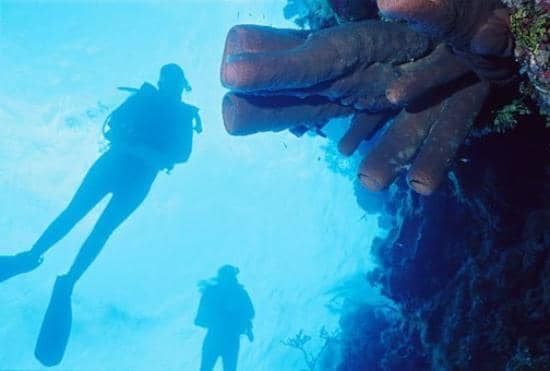 Buceo en Islas Caimán