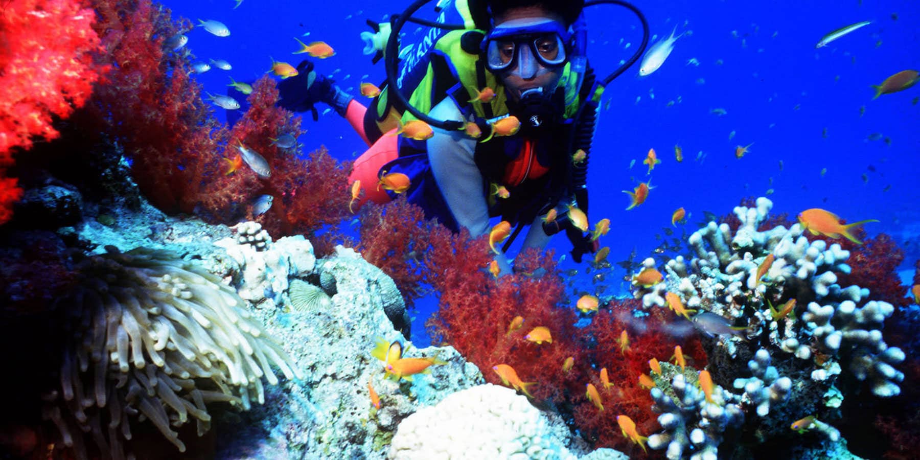 Mtwapa y Barracuda Reef