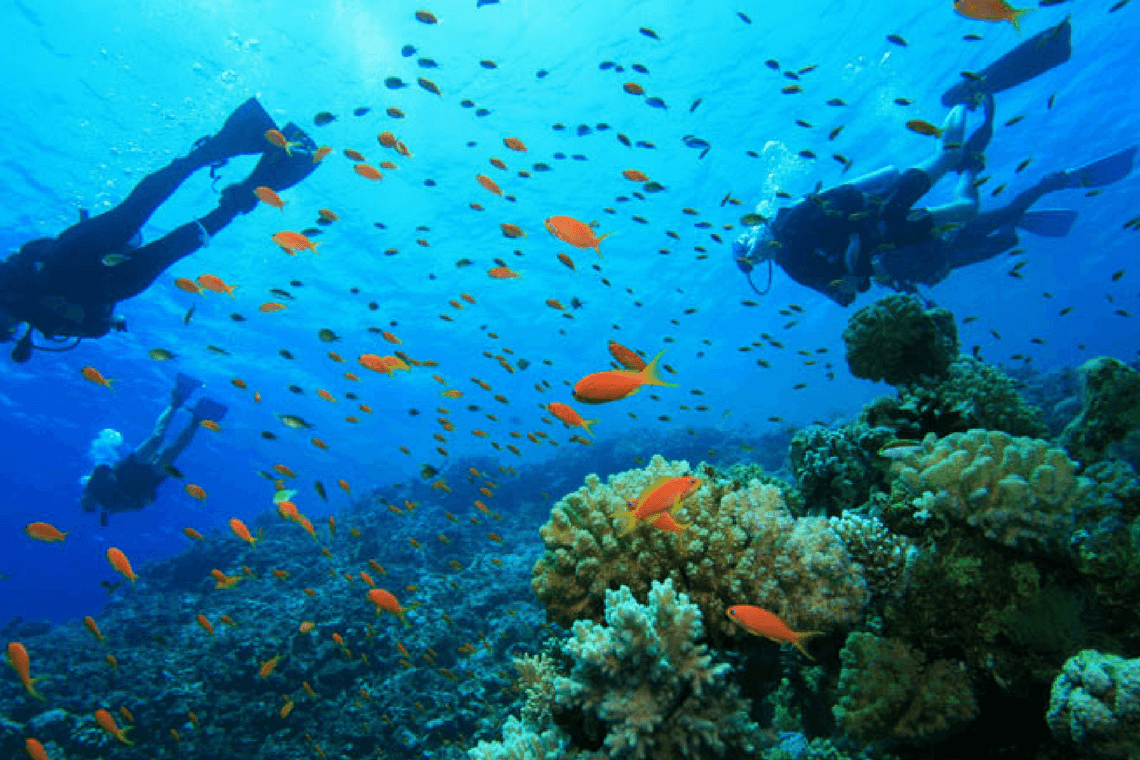 Bucear en la Isla de Tenggol, Malasia