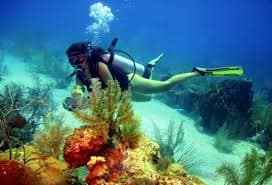 Buceo en Brasil