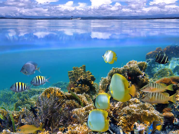 Buceo en Costa Rica