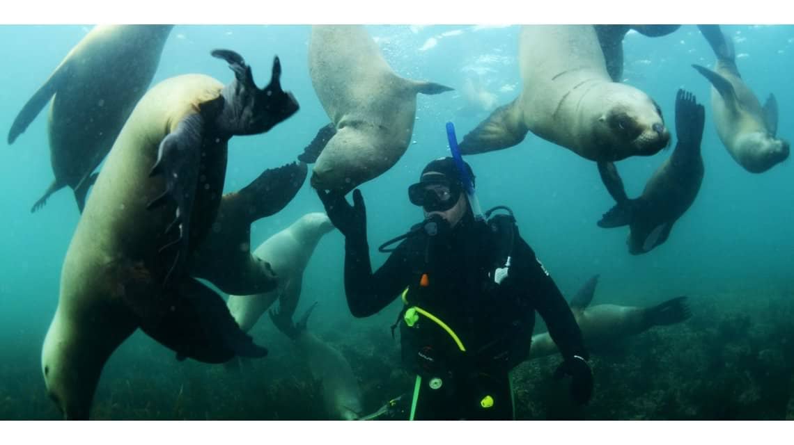 buceo en Puerto Madryn