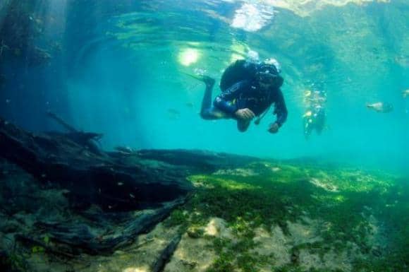 Buceo en Brasil