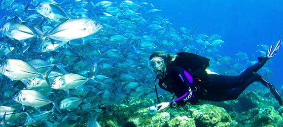 buceo en Cuba