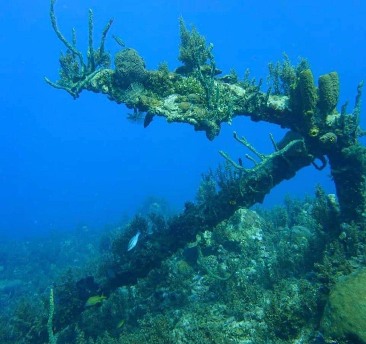 Punto de buceo en Jamaica