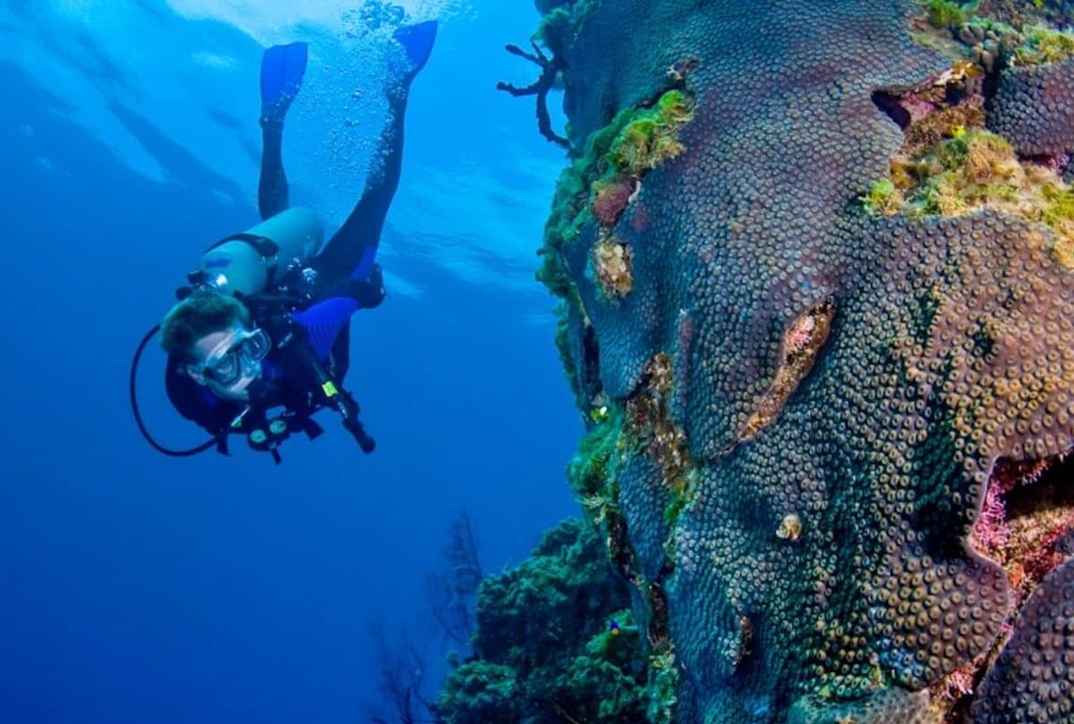 Buceo en las Bahamas Eleuthera y Harbour Island, Corte de Corriente
