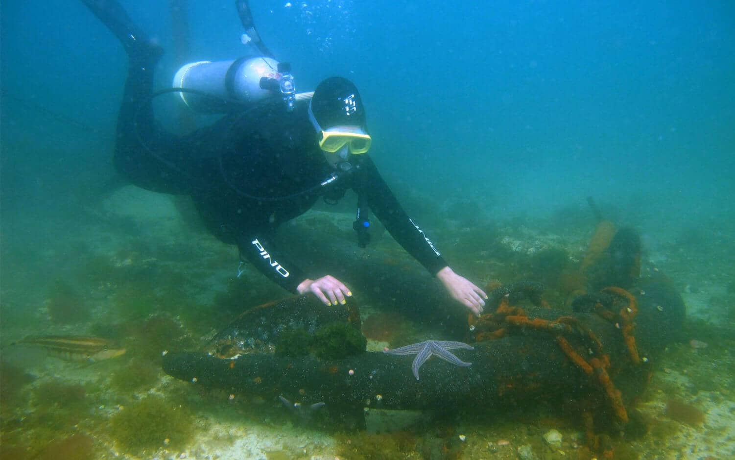 Madryn Buceo