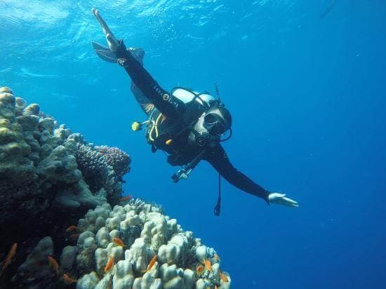 Buceo en Egipto