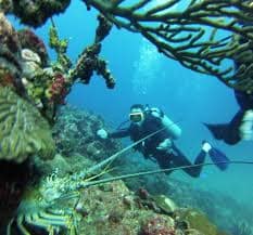 Buceo en Colombia