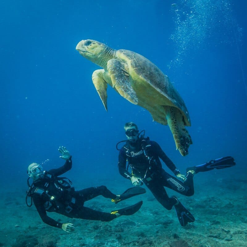 Azura Dive Centre